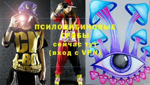метамфетамин Липки