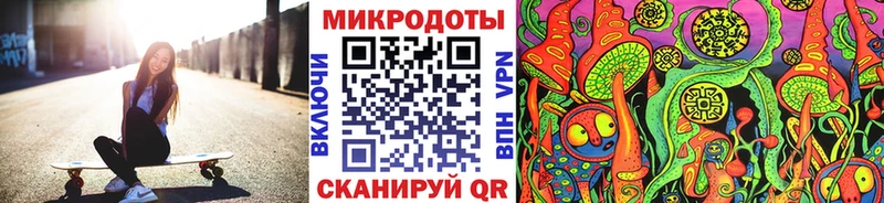 мега как зайти  Дорогобуж  Галлюциногенные грибы Magic Shrooms 